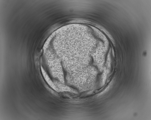 X0000116871049201001191718