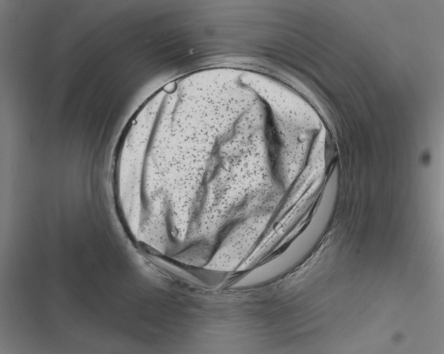 X0000116871050201001191718