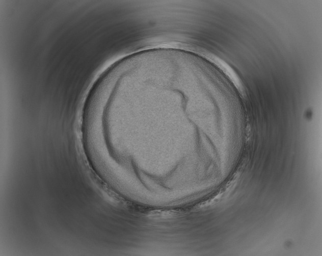 X0000116871051201001191718