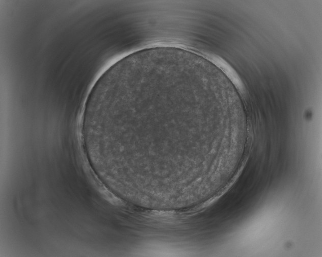 X0000116871052201001191718