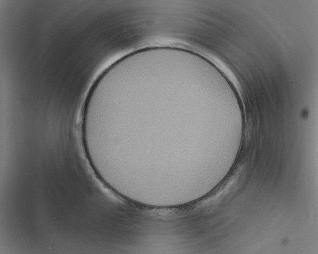 X0000116871053201001191718