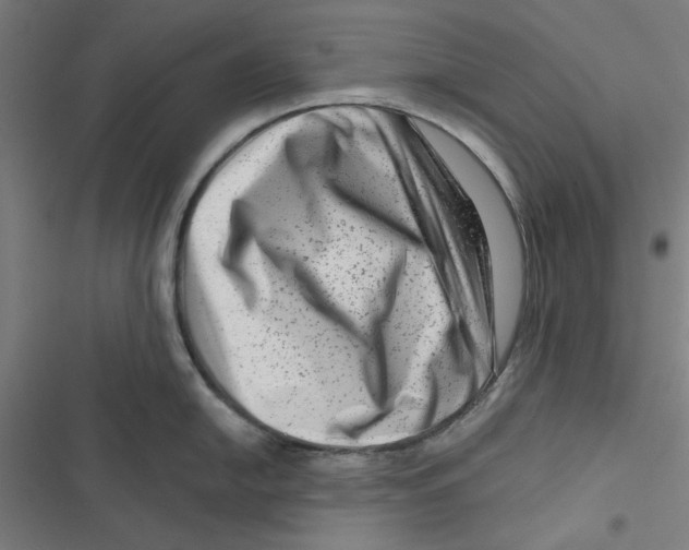 X0000116871054201001191718