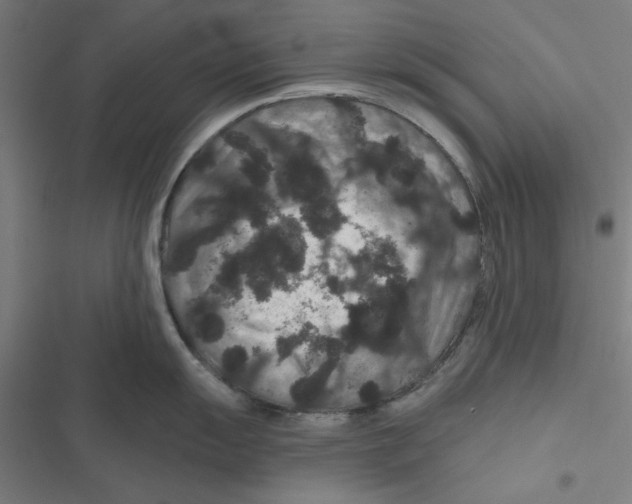 X0000116871055201001191718