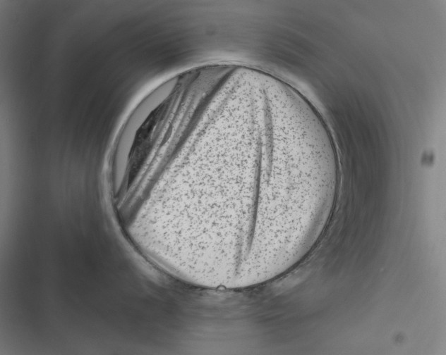 X0000116871056201001191719