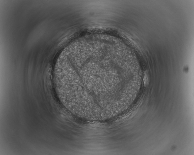 X0000116871059201001191718