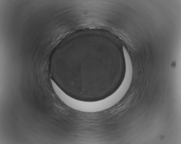 X0000116871060201001191718