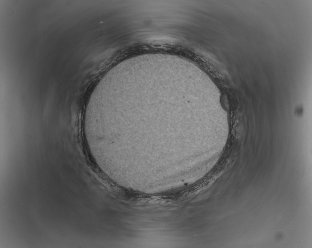 X0000116871061201001191718