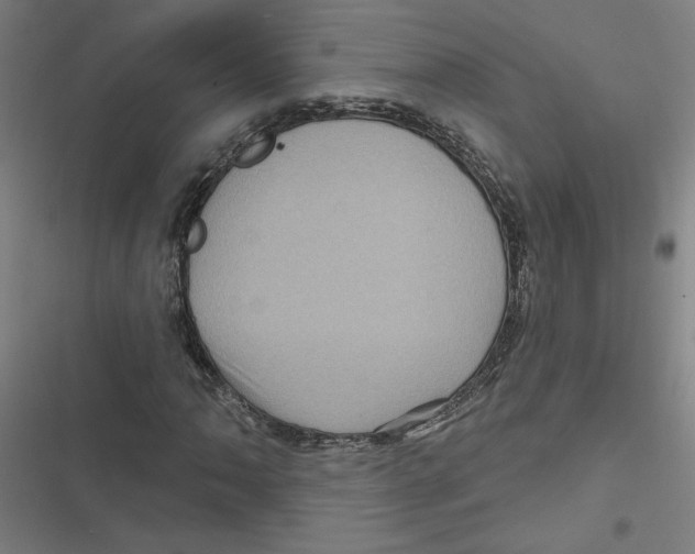 X0000116871062201001191718