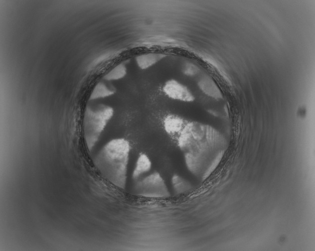 X0000116871063201001191718