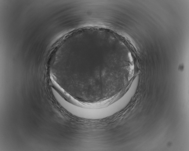 X0000116871064201001191718