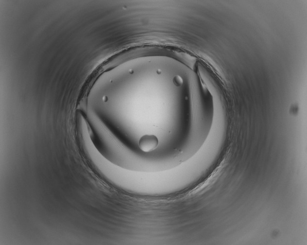 X0000116871065201001191718
