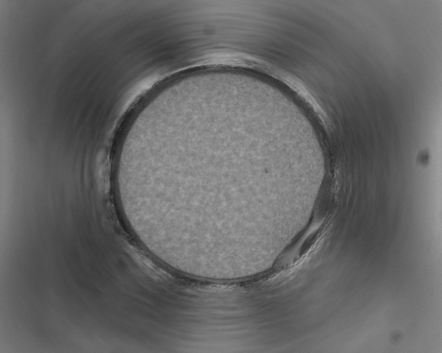 X0000116871067201001191718