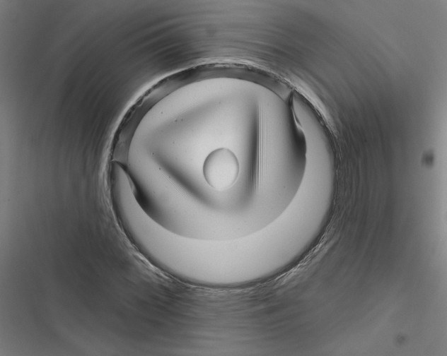 X0000116871068201001191718