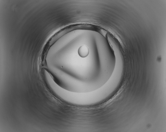 X0000116871069201001191718