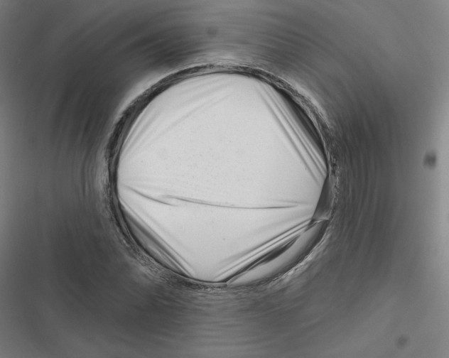 X0000116871070201001191718