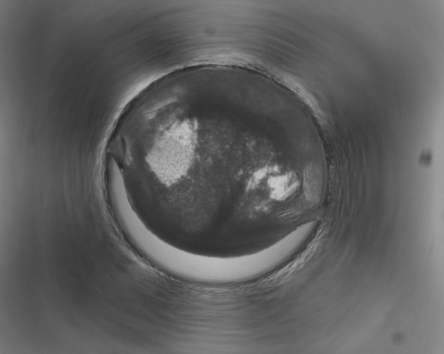 X0000116871071201001191718