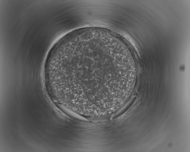 X0000116871072201001191718