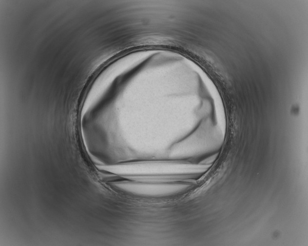 X0000116871073201001191718