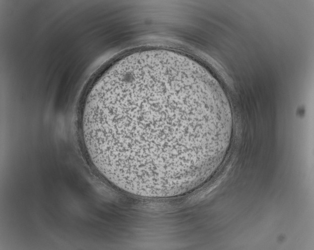 X0000116871074201001191718