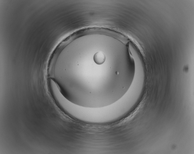 X0000116871077201001191718