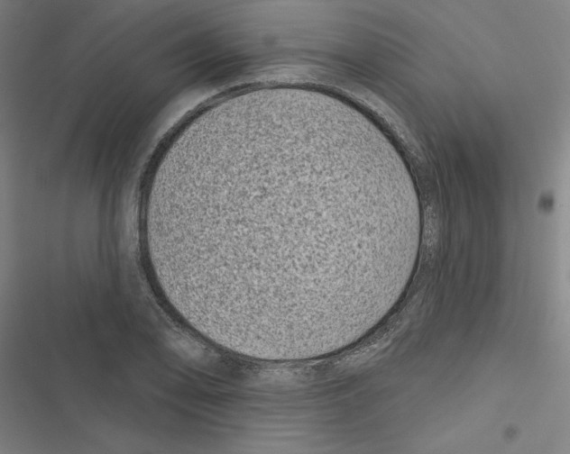 X0000116871078201001191718
