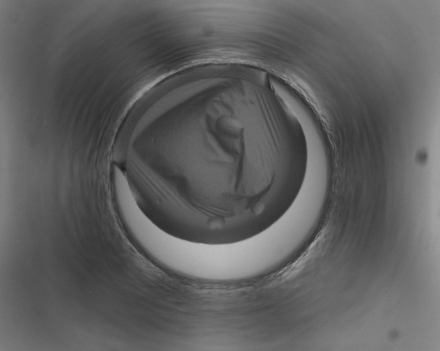X0000116871081201001191718