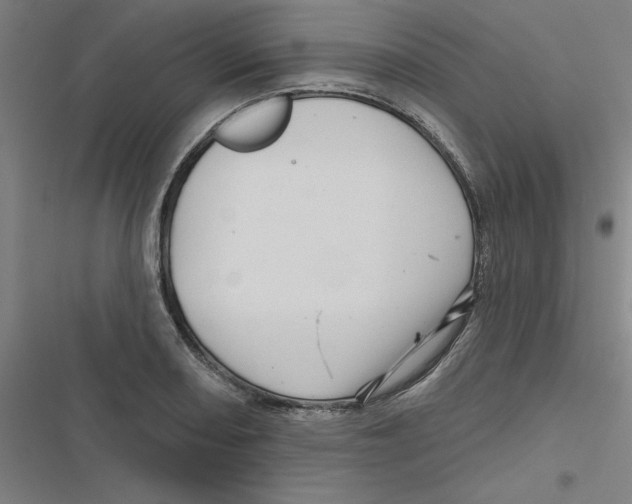 X0000116871082201001191718