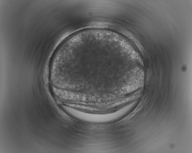 X0000116871083201001191717