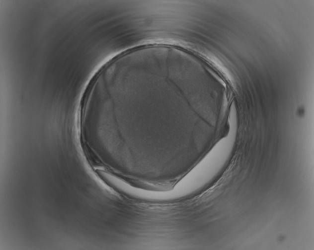 X0000116871084201001191717
