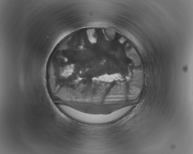 X0000116871087201001191717