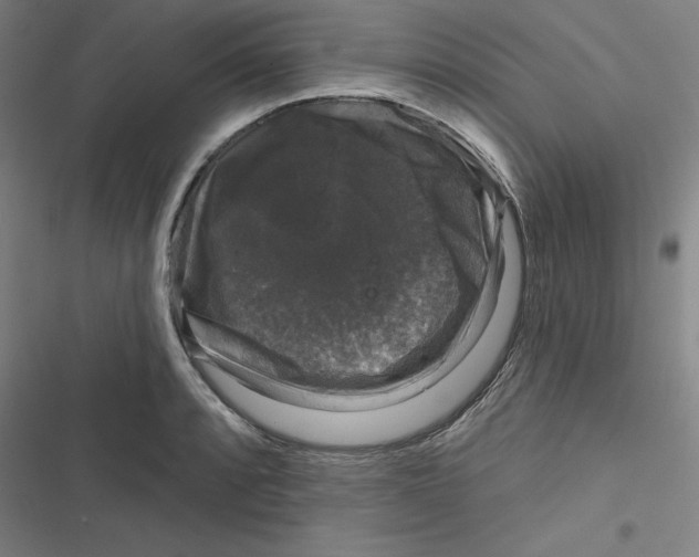 X0000116871088201001191717