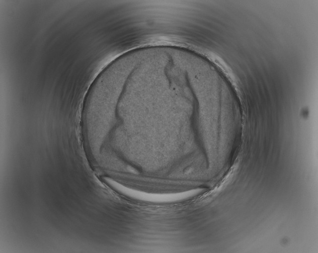 X0000116871089201001191717