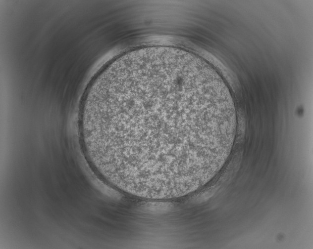 X0000116871090201001191717
