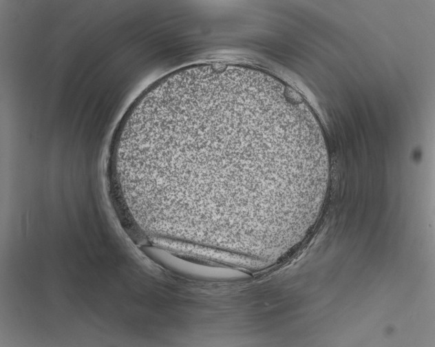 X0000116871091201001191717