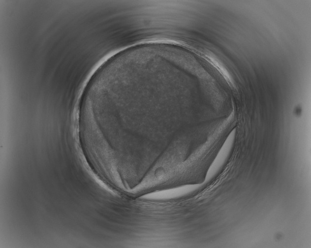 X0000116871092201001191717