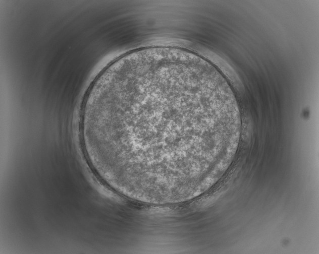 X0000116871094201001191717