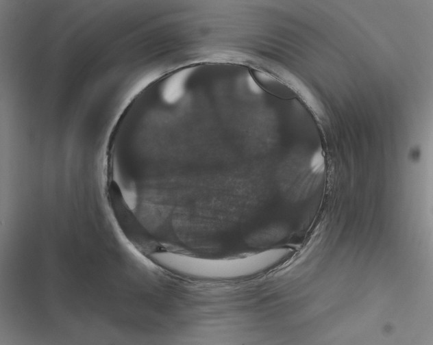 X0000116871095201001191717