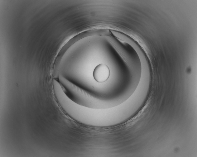 X0000116871097201001191717