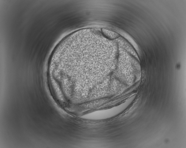 X0000116871099201001191717