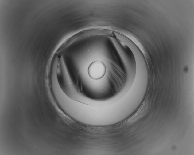 X0000116871101201001191717