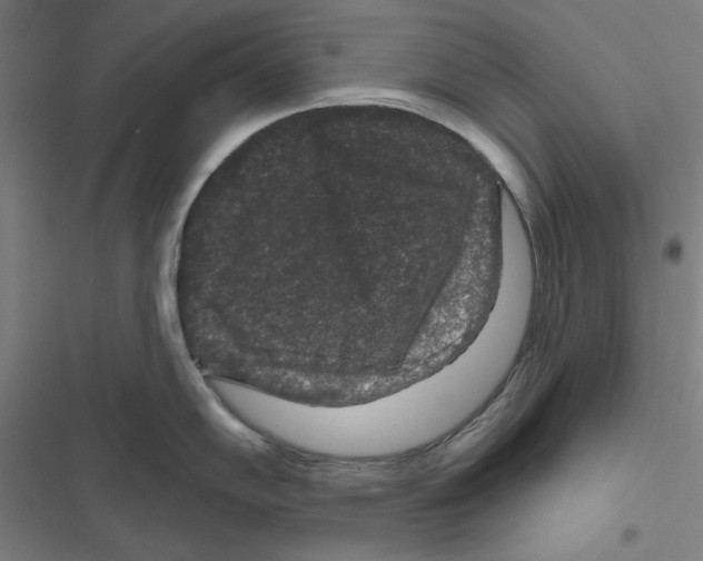 X0000116871102201001191717