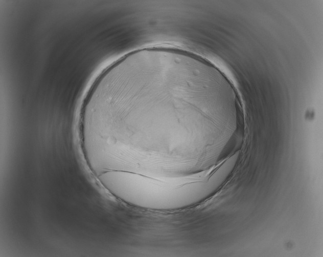 X0000116871104201001191717