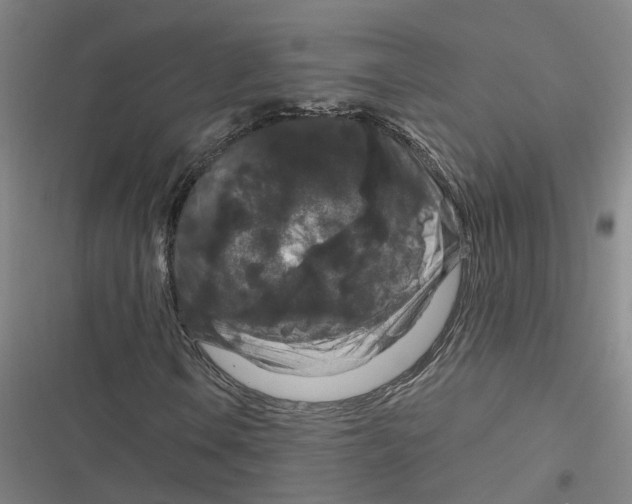 X0000116871106201001191717