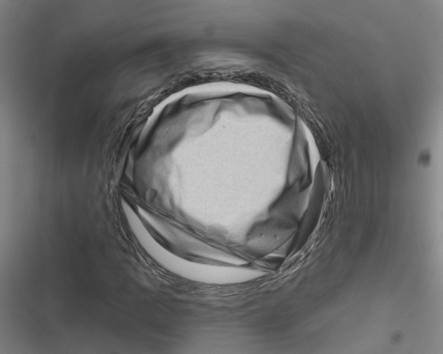 X0000116871109201001191717