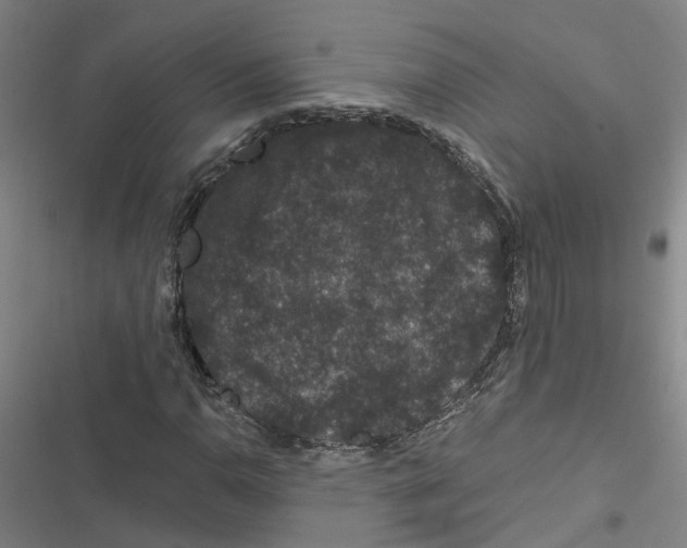 X0000116871110201001191717