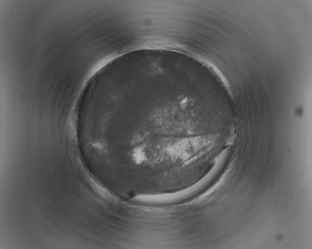 X0000116871114201001191717