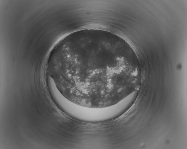 X0000116871115201001191717