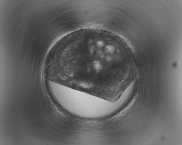 X0000116871117201001191717