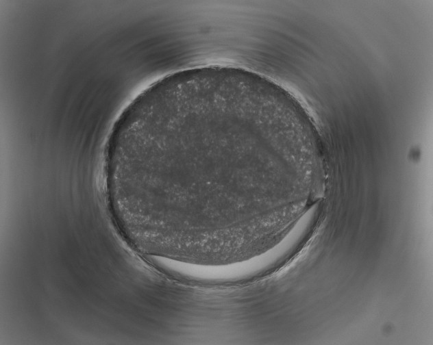 X0000116871118201001191717