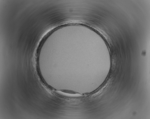 X0000116871119201001191717